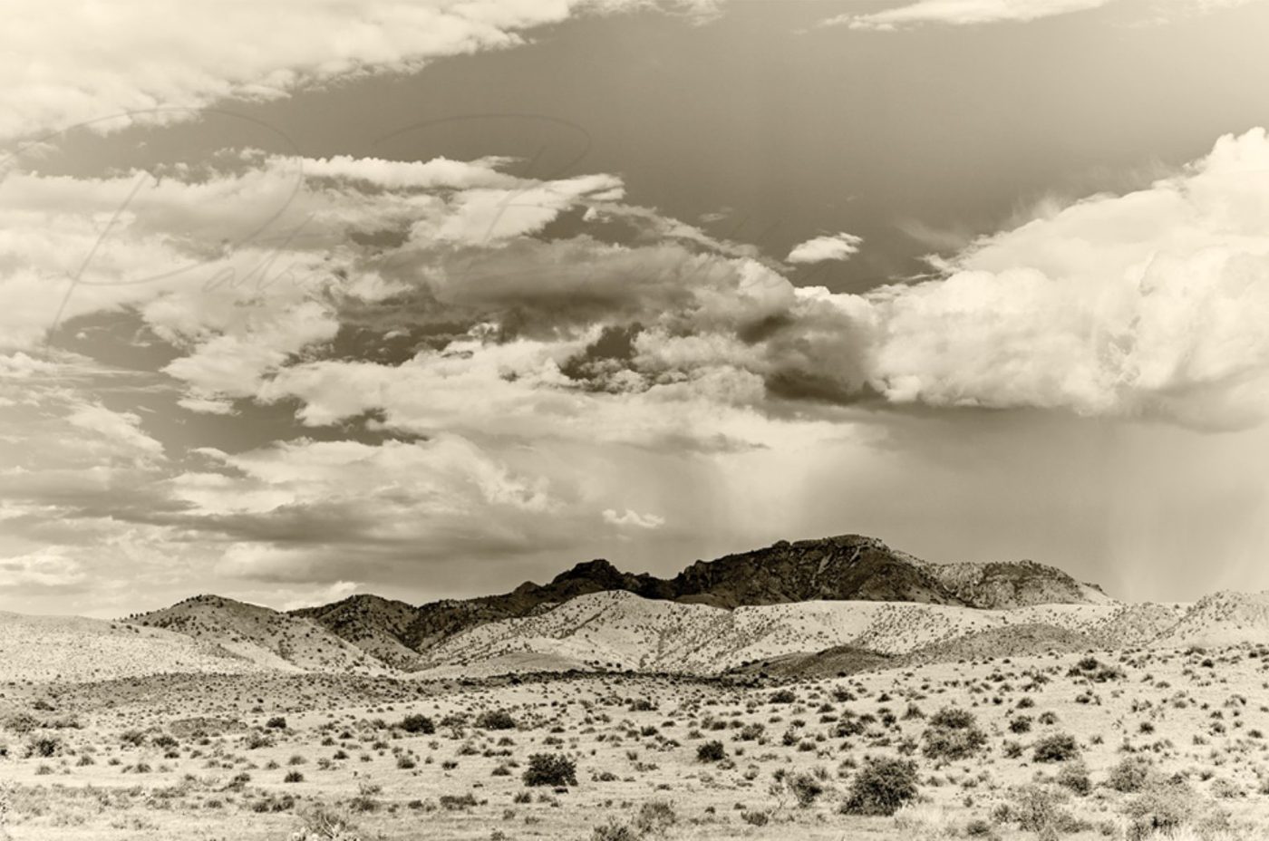 Impending — sepia photograph
